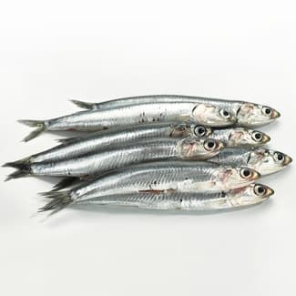 Boquerones