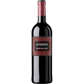Vino Tinto Roble 6 Meses DO Ribera del Duero la Planta