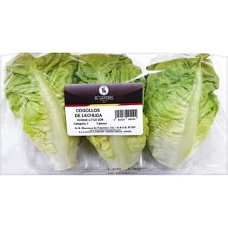 Cogollos de Lechuga el Lancero