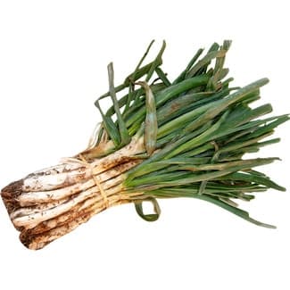 Calçot Cebodul