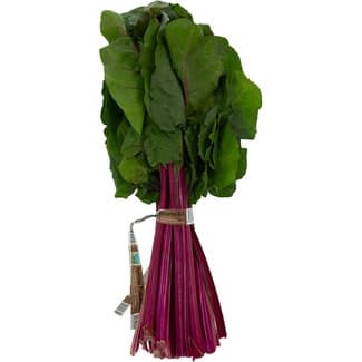 Acelga Roja