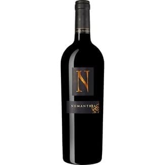 Vino Tinto Tinto DO Toro Numanthia