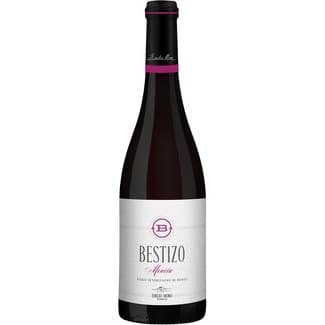 Vino Tinto DO Bierzo Bestizo