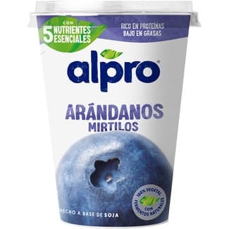 Big Pot Especialidad Vegetal de Soja con Arándanos sin Gluten sin Lactosa Alpro