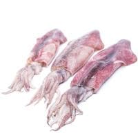 Calamar Mediano Descongelado, al Peso, Compra Mínima 500 G