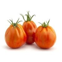 Tomate Volley, al Peso, Compra Mínima 500 G