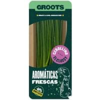 Cebollino Groots, Bandeja 20 G