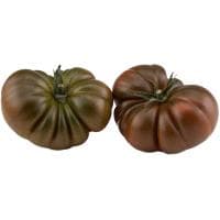 Tomate Moresco, al Peso, Compra Mínima 500 G