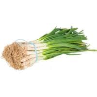 Calçots Catalunya, Manojo 25 Uds