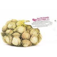 Berberecho, Bolsa 500 G