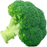 Brócoli Verde de Aquí, Unidad