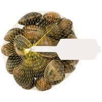 Almeja Marinera, Malla 500 G
