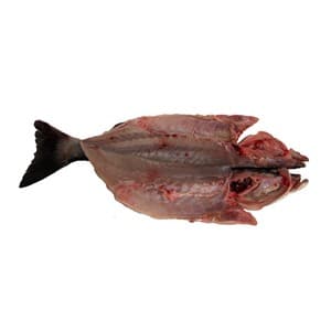 Alcampo Cultivamos LO Bueno Lubina de Estero Mediana - Espalda con Espinas 750 G