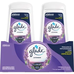 Absorbe Olor Lavanda 2 u