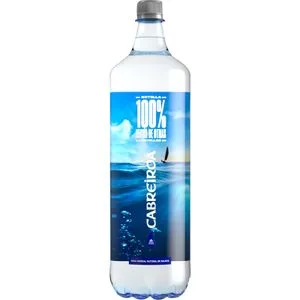 Agua Mineral Natural Botella 1 L