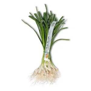 Ajo Tierno 0.2 KG