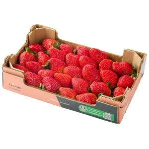 Alcampo Cultivamos LO Bueno Fresón Caja Rosa  1 Kg. 1000 G
