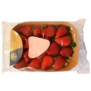 Alcampo Cultivamos LO Bueno Fresón Leyre, Bandeja 400 G.