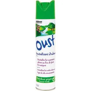 Ambientador Aire Fresco Spray 300 Ml