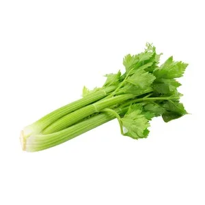 Apio Ecológico Bandeja 400 G.