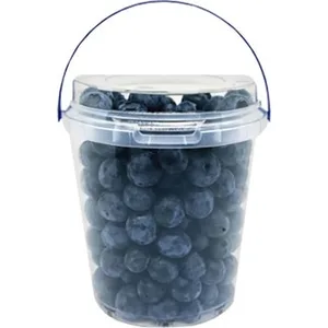 Arándano Sweet 500 G