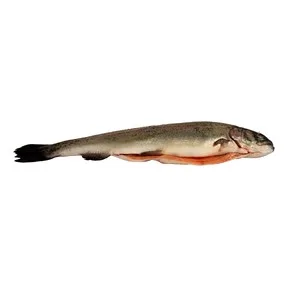 Trucha Arco Iris. - Entera Limpia 450 G
