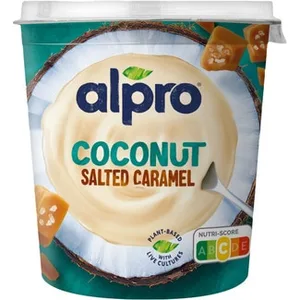 Big Pot Especialidad Vegetal de Coco con Caramelo Salado sin Gluten sin Lactosa Alpro