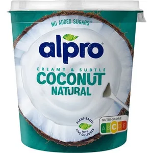 Big Pot Especialidad Vegetal de Coco Natural sin Gluten sin Lactosa  Alpro 350 G