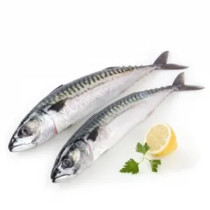 Caballa 1,3 Kg Aprox