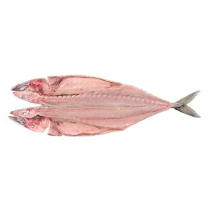 Caballa Verdel Abierta a la Espalda con Espinas y con Cabeza 0.43 KG