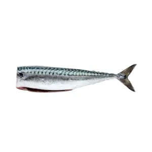 Caballa Verdel sin Tripa 0.43 KG