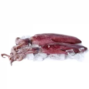 Calamar de Lonja 1 Kg Aprox