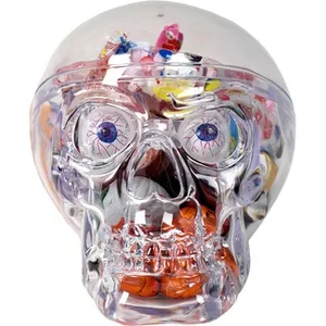 Calavera de Halloween con Caramelos Surtidos Miguelañez