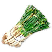 BonArea