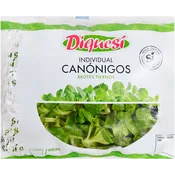 Canónigos