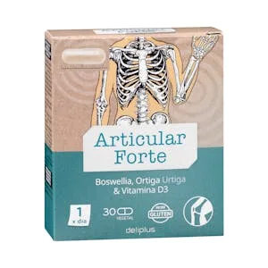 Cápsulas Articular Forte Deliplus 0.01545 KG