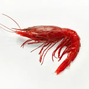 Carabineros Terciados 16-22 Piezas/kg