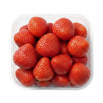 Fresón Tarrina 1 Kg