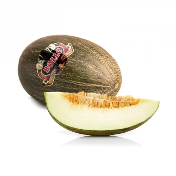 Melón Piel de Sapo Selecta 4,5 Kg Aprox