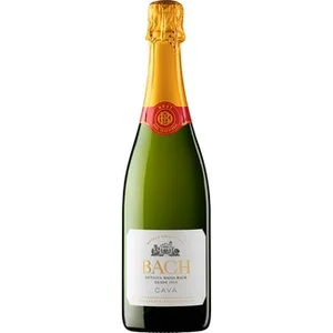 Cava Brut  Bach Extrisimo 75 CL