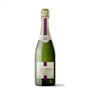 Cava Juvé y Camps Brut Reserva Ecológico 75 Cl.