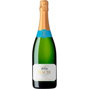 Cava Semi Seco  Bach Extrisimo 75 CL