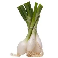 Cebollas Tierna Conca, Manojo 3 Uds