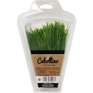 Cebollino Herbex
