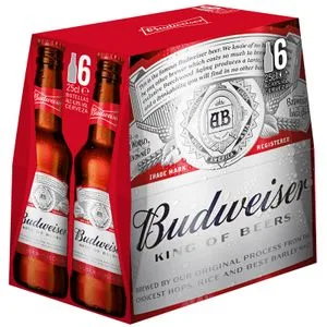 Cerveza Americana Pack de 6 Botellas 6 X 0,25 L