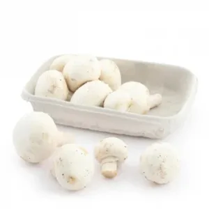 Champiñon Ecológico Carrefour 300 G Aprox