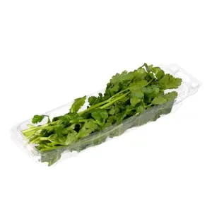 Cilantro 0.02 KG