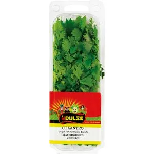 Cilantro Bandeja 20 Gr