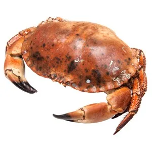 Buey de Mar Cocido 450 G