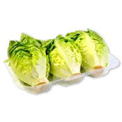BonArea